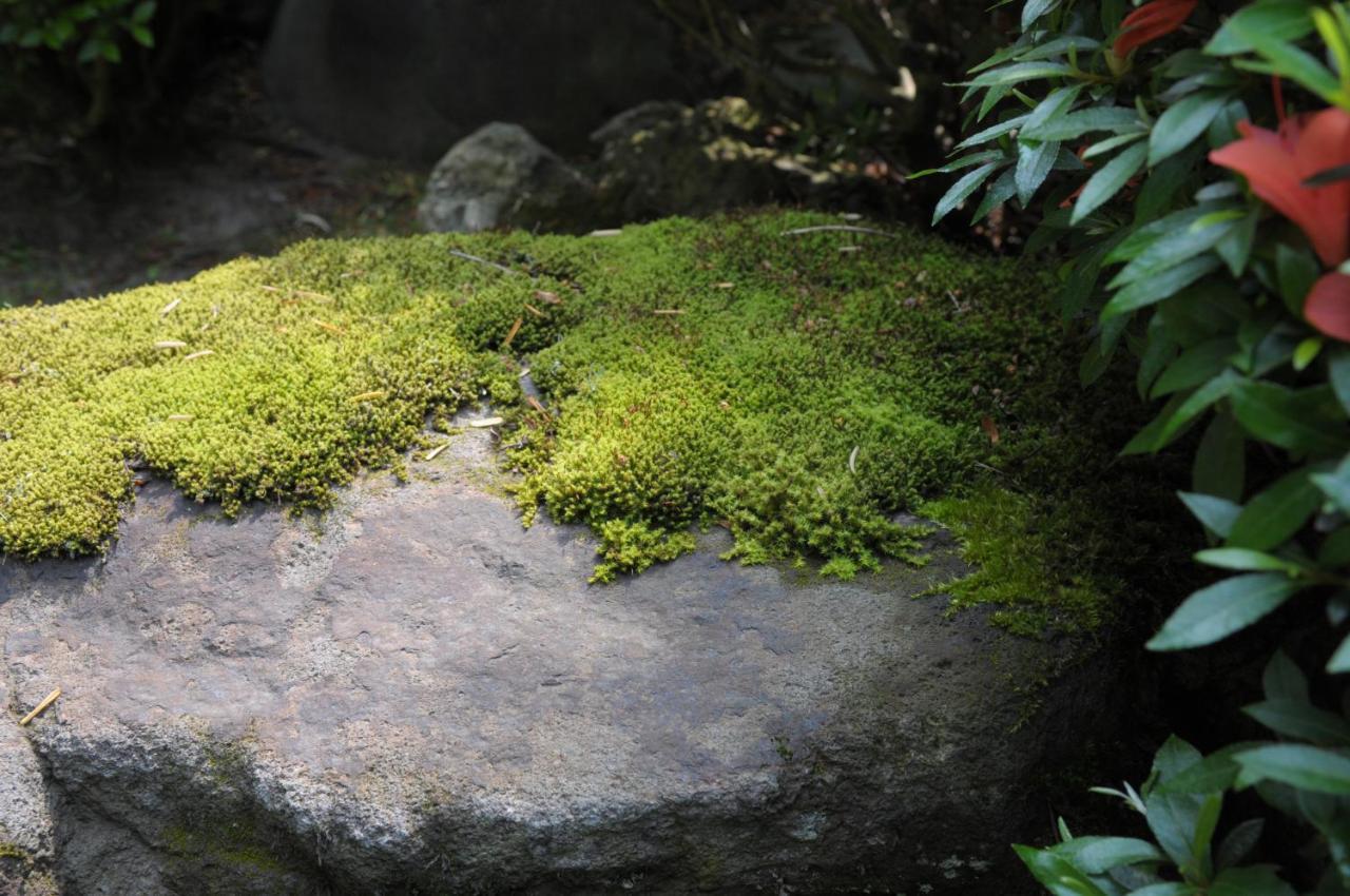 Historical Ryokan Senyukan Owani Экстерьер фото
