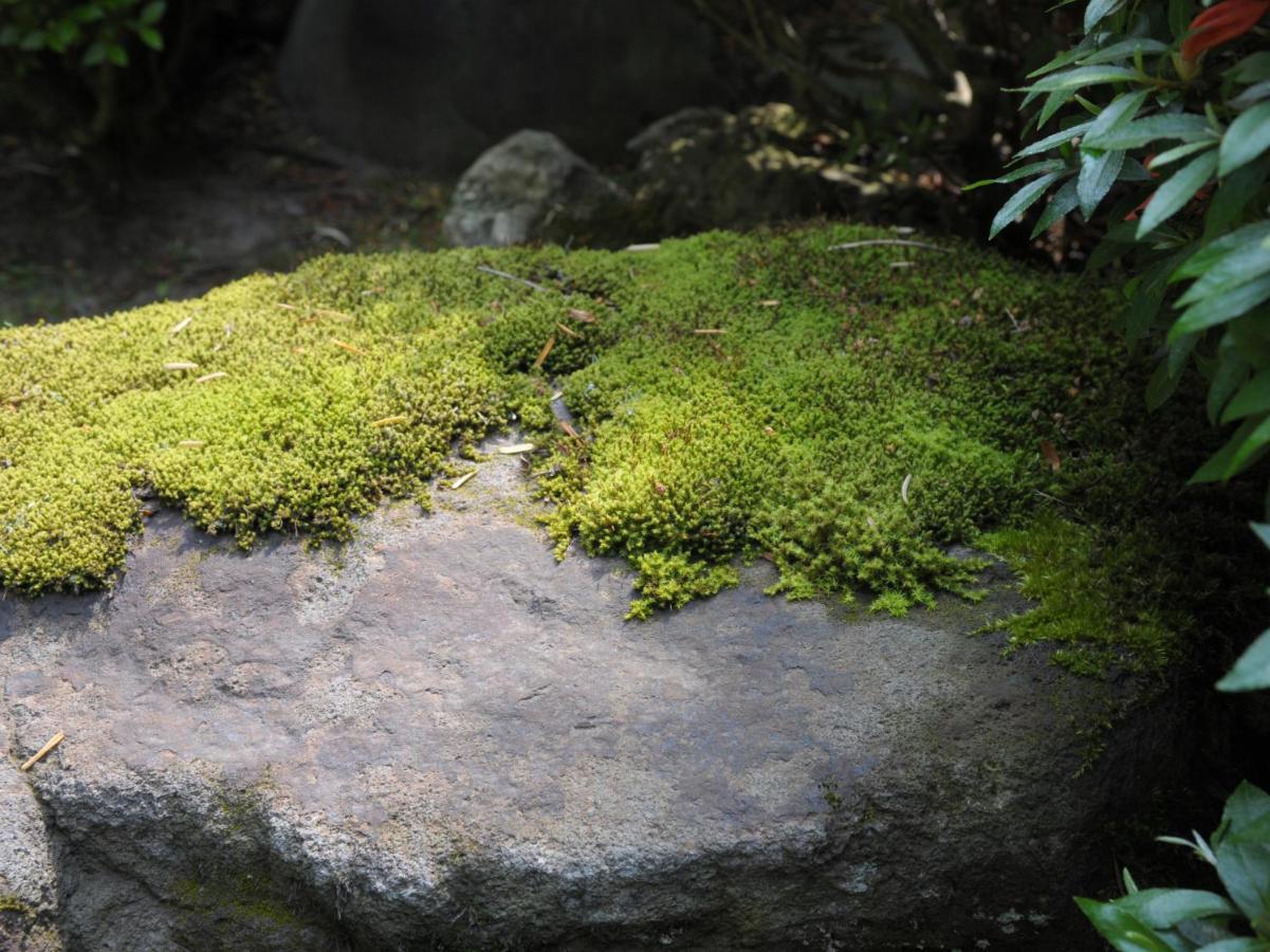 Historical Ryokan Senyukan Owani Экстерьер фото