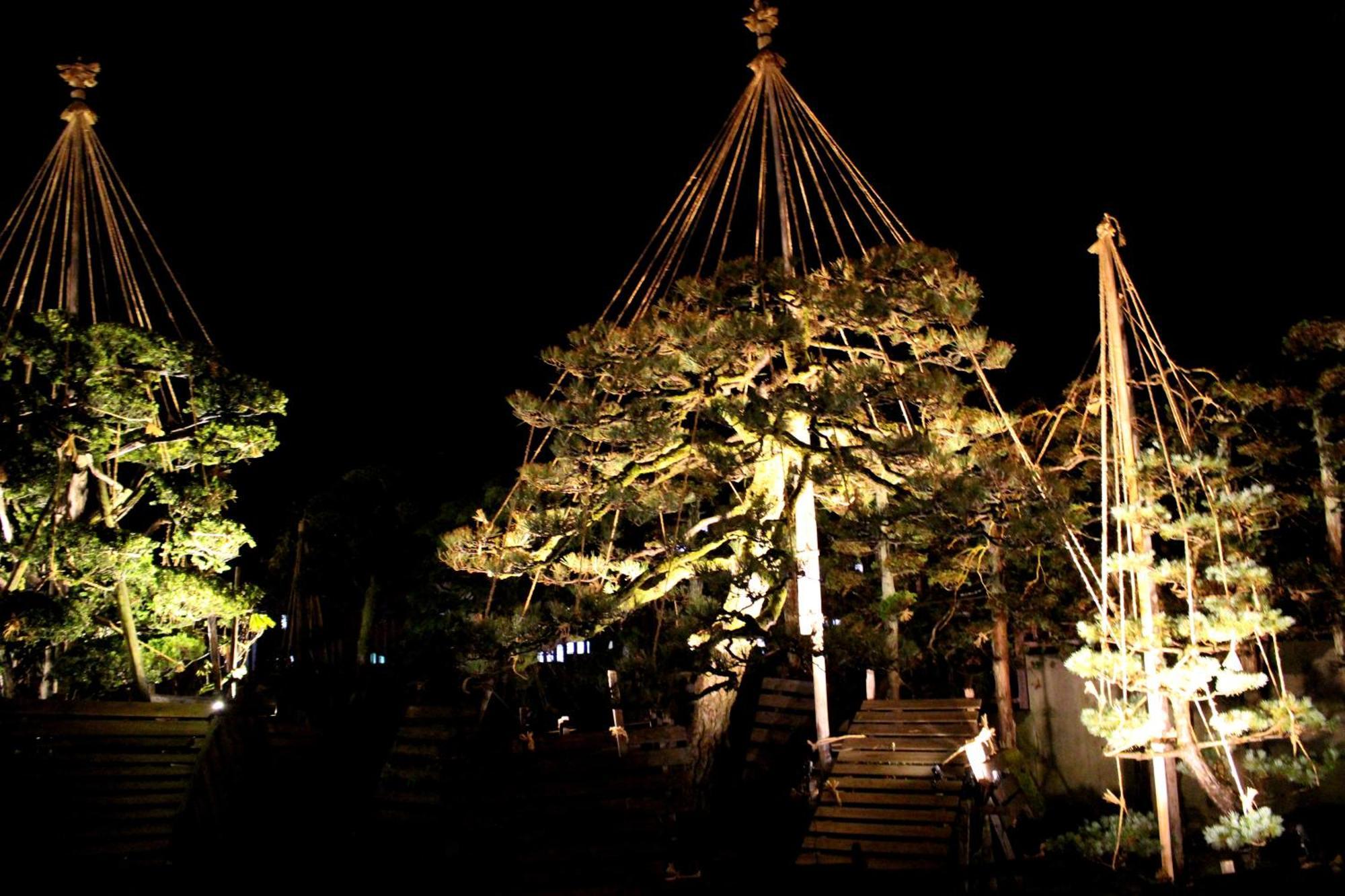 Historical Ryokan Senyukan Owani Экстерьер фото